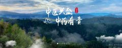 普洱淞*醫(yī)藥集團有限公司網(wǎng)站建設(shè)新一代自助建站、智能建站系統(tǒng)